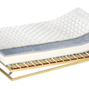 MkfoamStandartBIO